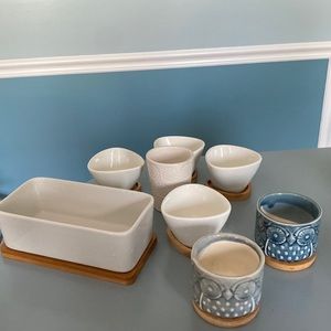 Assortment of 8 succulent pots